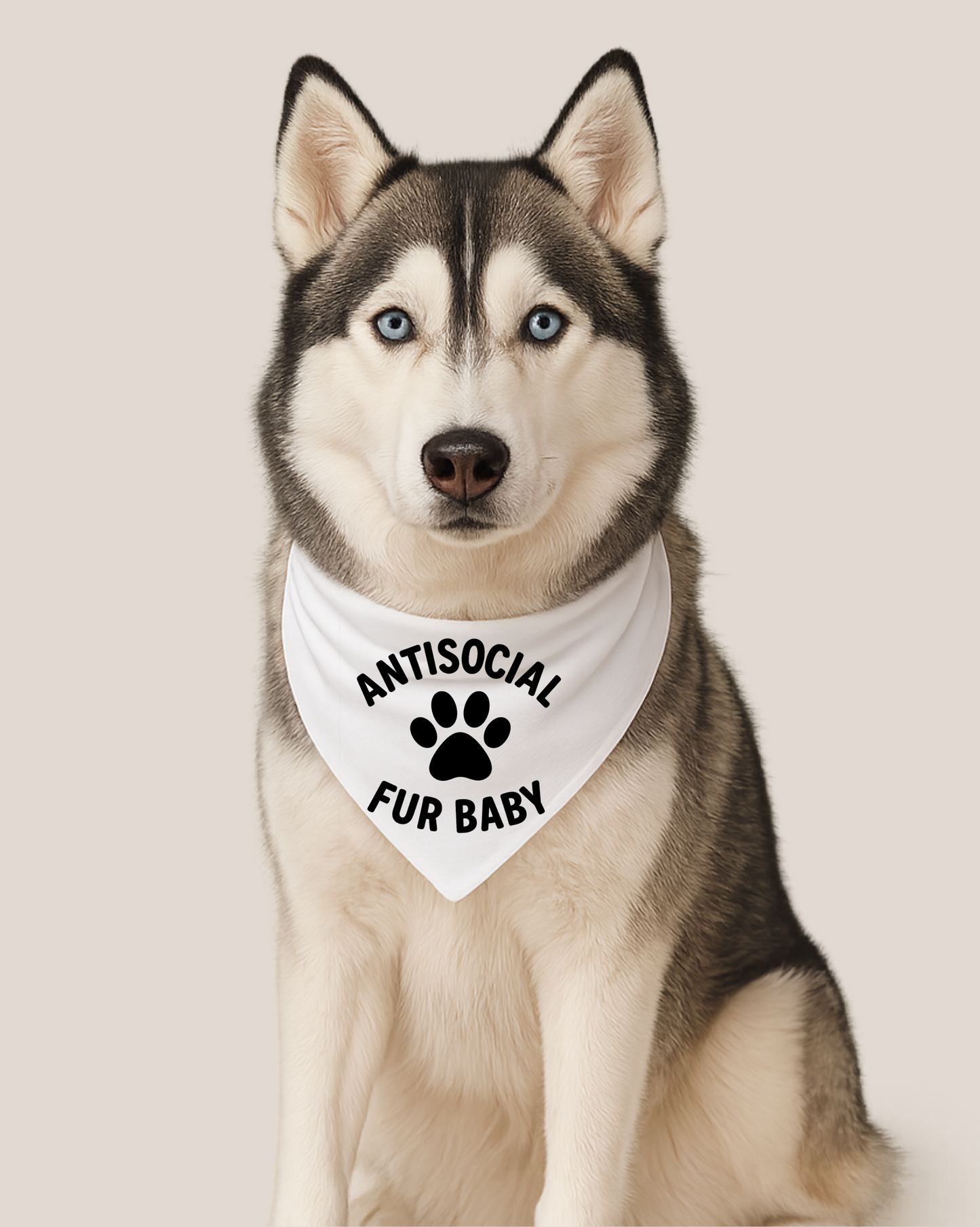 Antisocial Fur Baby (Matching) Bandana